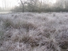 Nether Alderley | Church Fields Nether Alderley | Church Fields